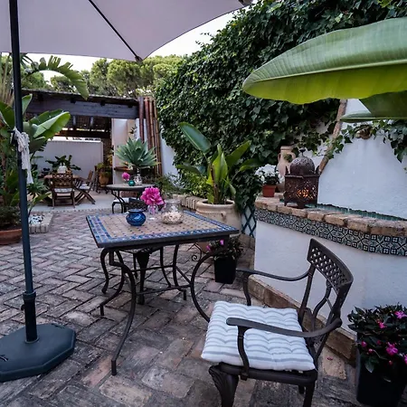 Azalea Playa Hotel