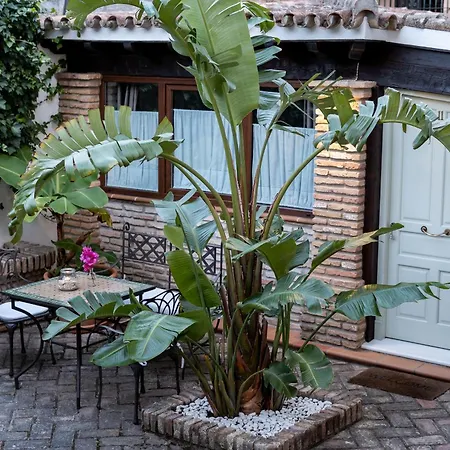 Azalea Playa Chiclana de la Frontera