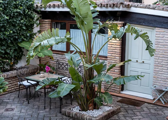 Azalea Playa Chiclana de la Frontera